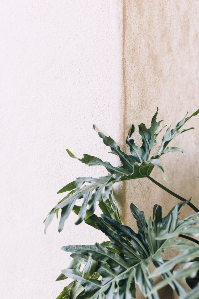 Thriving Together: Nurturing Your Whole Self for a Happy Life